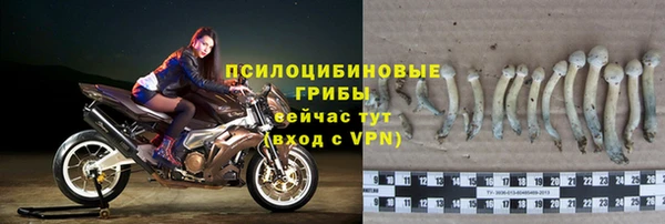 apvp Аркадак