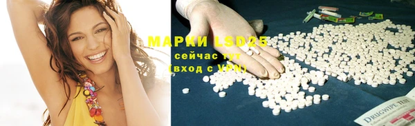 apvp Аркадак