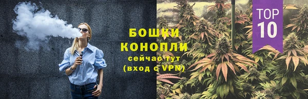 apvp Аркадак