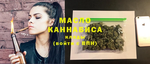 хмурый Арсеньев