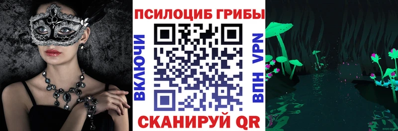 Купить где  Темников  Псилоцибиновые грибы Cubensis 